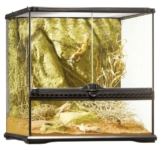 Glasterrarium